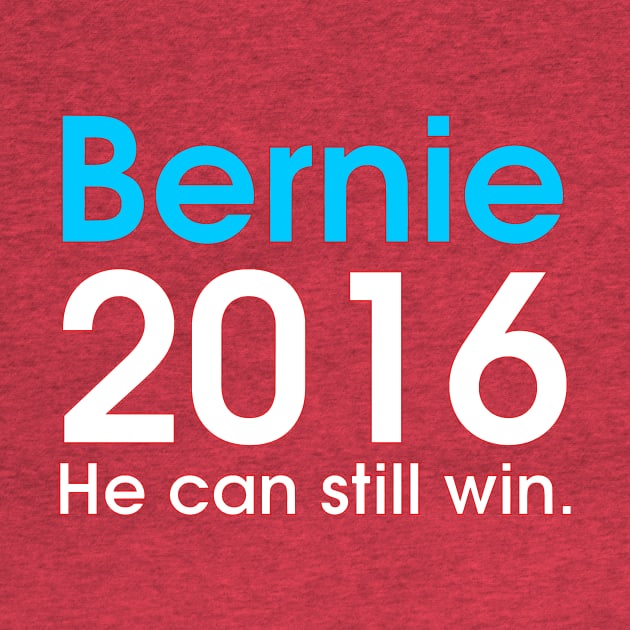 Bernie Can Still Win 2016 by dikleyt